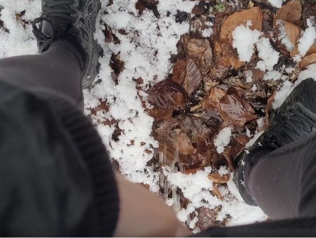 Download: Lou-ShayenneVolpe - In Wald gepinkelt