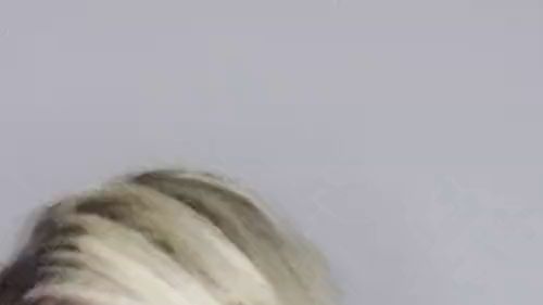 Download: LoversUnite - Wie geil ich davon werde wenn ich sein großen Schwanz blasen kann