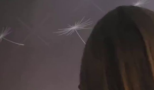 Download: LunaLou-03 - Vostellungsvideo