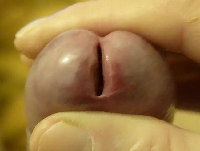 Download: Madame-Monique - Stutenmilch