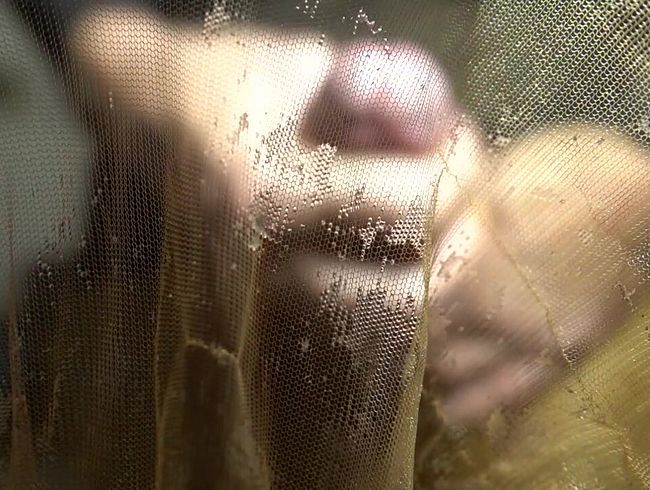 Download: Madame-Monique - Best of Monique`s Nylonsämereien