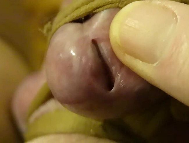 Download: Madame-Monique - Wichsverbot zu Neujahr