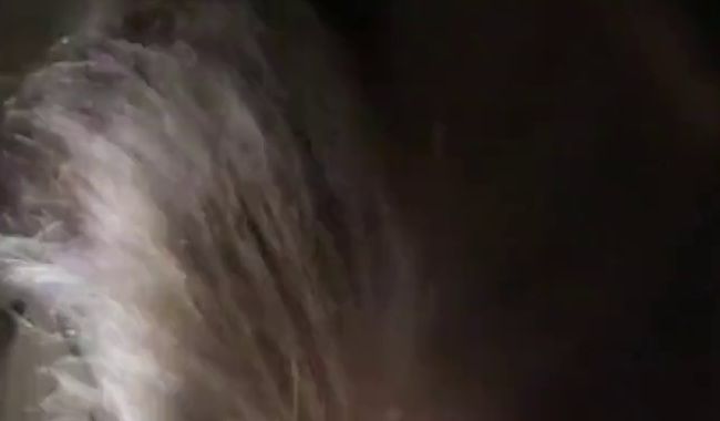 Download: Magic_Mia - Deepthroat POV.Bis zu den Eiern in den Hals geschoben
