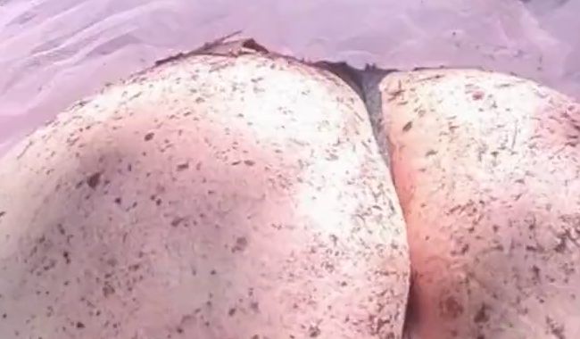 Download: Mania_Pigmilk - Niedliche Fee schüttelt ihren dreckigen A**** im Wald