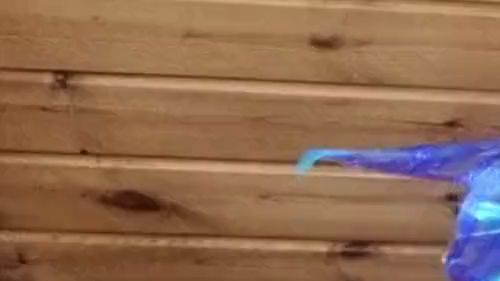 Download: Mania_Pigmilk - Frühlingsgefühle indoor PISSING, lutschst du mein Handtuch trocken?