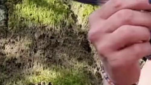 Download: Mania_Pigmilk - GOTHGIRL T*TTEN abbinden im WALD! Mit STEIN gef*ckt und NADELRAD