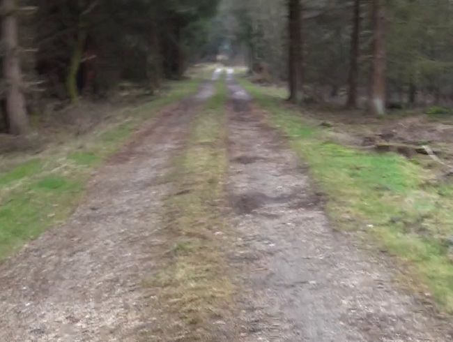 Download: MaraNightmare - NS auf dem Waldweg nach dem Blowjob