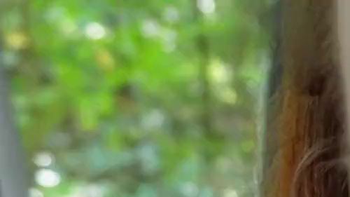 Download: MaraNightmare - Userdate im Auto Teil 2