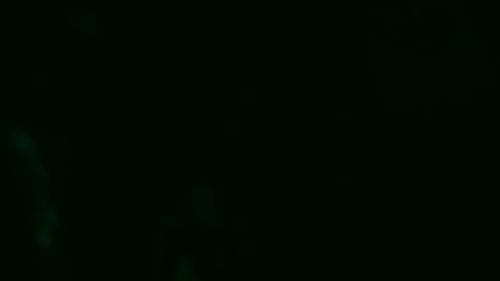 Download: MaraNightmare - *SKLAVENAUFGABE* Trinkritual auf Knien