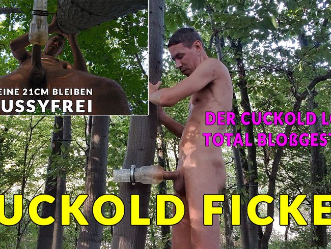 Download: MarcPrivateXXX - So fickt ein Cuckold * Meine 21cm bleiben Pussyfrei