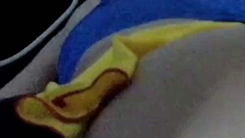 Download: Maskedcouplefuck - Anal Dildo Spiele