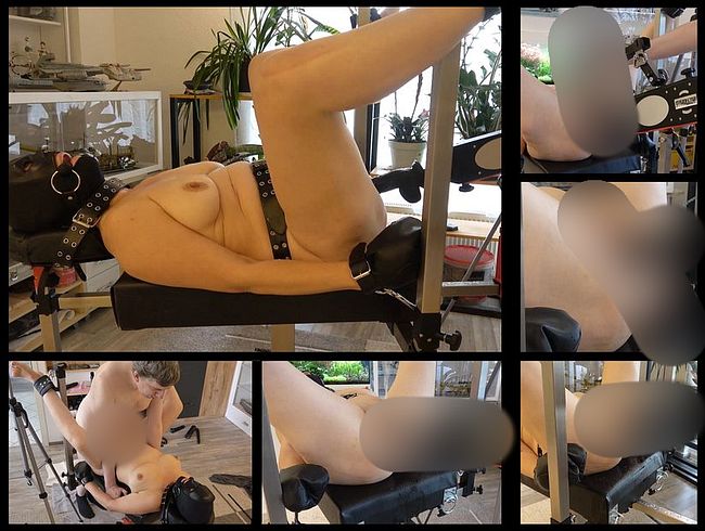 Download: Master-Thomas - Wehrlose Sklavenmilf Abgefickt