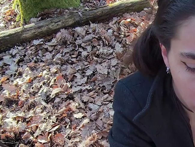 Download: MasterandDoll - Wald Blowjob- der Spaziergang ging zuende.