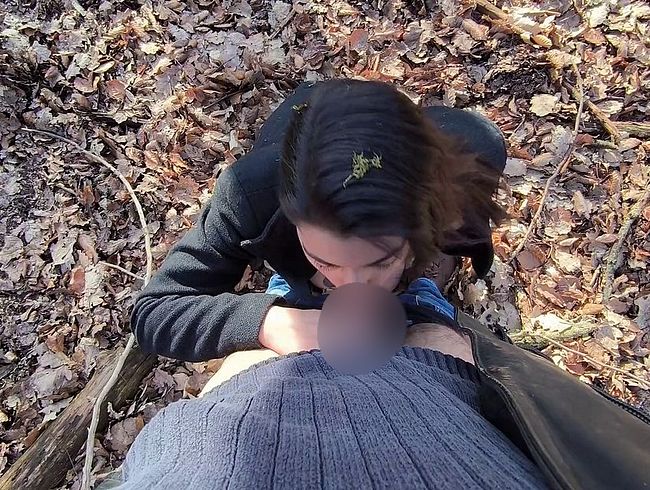 Download: MasterandDoll - Wald Blowjob- der Spaziergang ging zuende.