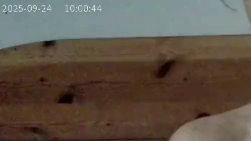 Download: MasterandDoll - Neues Spielzeug wird getestet und holy es wird gut