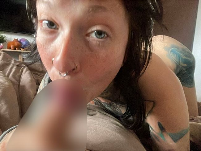 Download: Micky-Bottenberg - Blowjob am Morgen vertreibt Kummer und Sorgen