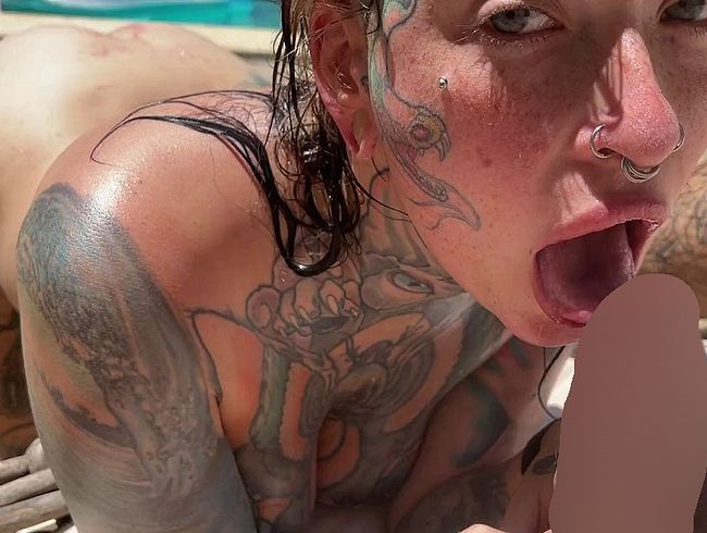 Download: Micky-Bottenberg - Kurzer Blowjob am Pool