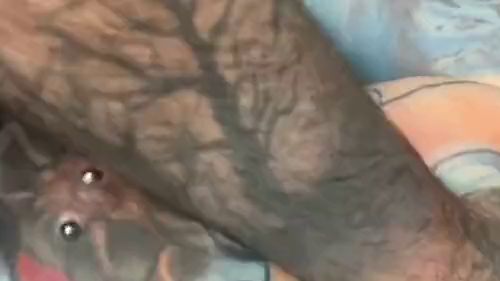 Download: Micky-Bottenberg - Intimer Fick für Goth Schlampe mit dicken Titten!