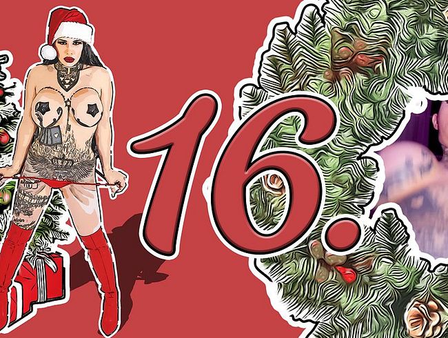 Download: MissAlessaMilano - 16. Adventskalender 2025 - Aufwachen durch Blowjob und Reiten