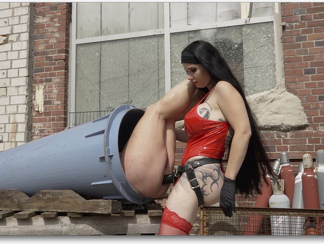 Download: MissAlessaMilano - Überall, auch Mülltonne ficke ich