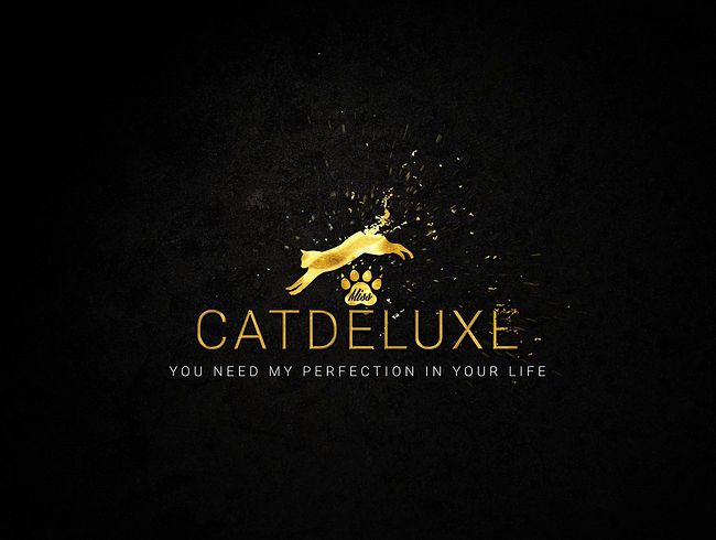 Download: MissCatDeluxe - Unerreichbar nah