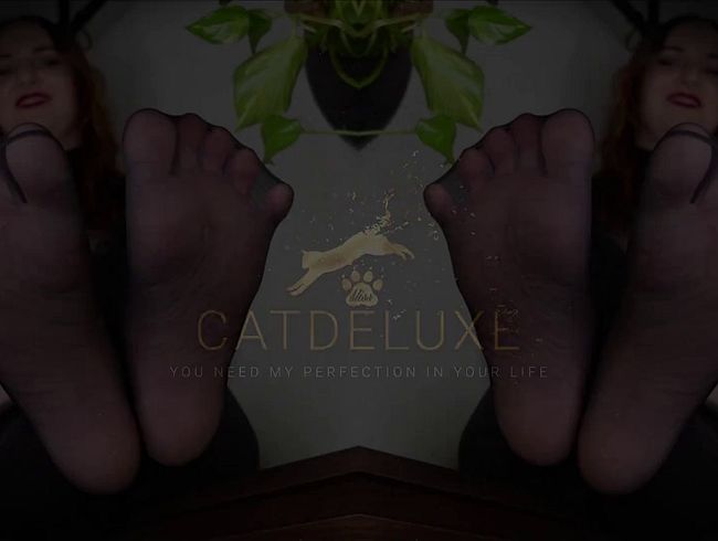 Download: MissCatDeluxe - Nylon Verführung - Gefangen im Bann meiner Füße