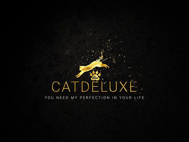 Download: MissCatDeluxe - Warum dein Schwanz nutzlos ist