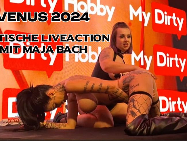 Download: MissKing - Venus 2024 - erotischer Liveact mit Maja Bach