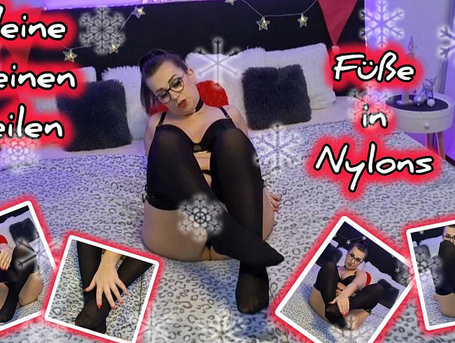 Download: MissKing - Meine kleinen geilen Füße in Nylons