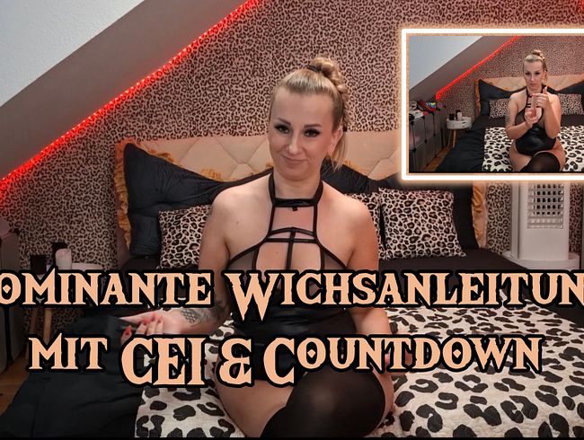 Download: MissKing - Dominante Wichsanleitung für Sklaven mit CEI & Countdown