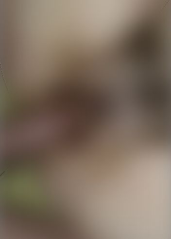 Download: MissNaturPur - Fick von vorn und Sperma aufn Busch