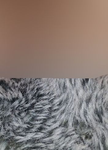 Download: MissNaturPur - Schleimiges, dreckiges Smegmaloch