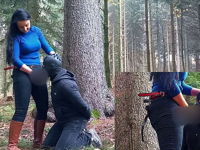 Download: Misstress-Luciana - Im Wald bekommt der Loser den Schwanz