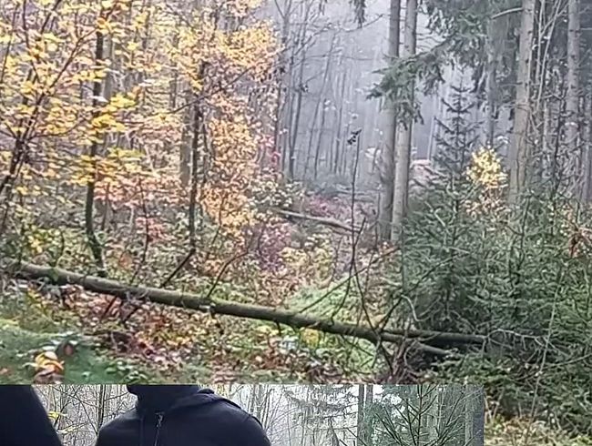 Download: Misstress-Luciana - Mächtig was auf den Sack