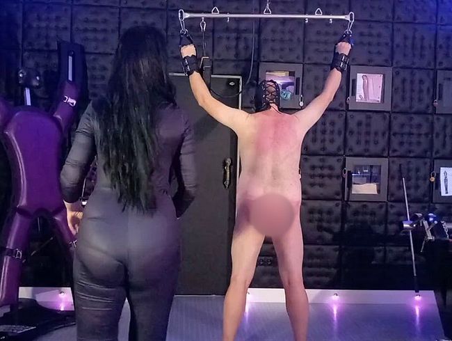 Download: Misstress-Luciana - Sklave, rate welche Peitsche die Herrin benutzt 1