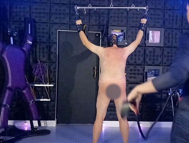 Download: Misstress-Luciana - Sklave, rate welche Peitsche die Herrin benutzt 2