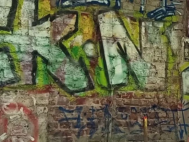 Download: Misstress-Luciana - Meine Pisse im Sklavenauge