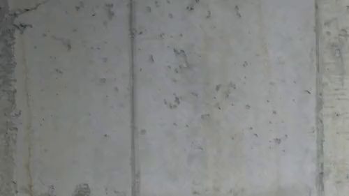 Download: Misstress-Luciana - We are deep in your Pisshole