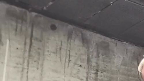 Download: Misstress-Luciana - Hard fuck in 2 Slavehole from 2 hot Ladys