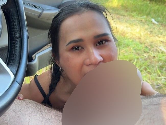 Download: Mixedamateurs - Geilen Schwanz draußen in der Natur abgeblasen und alles ins Maul gespritzt bekommen!