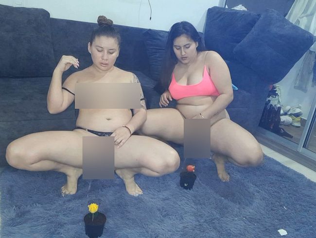 Download: Monita-Caliente - Wir pissen auf unsere Dekorationsblumen