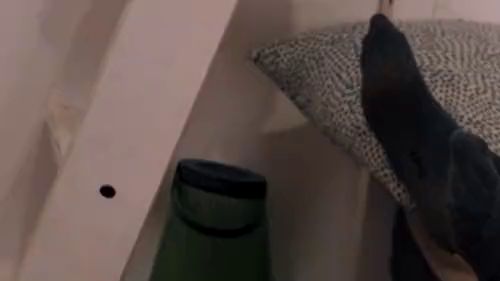 Download: Mountain1988 - Pornostar Maria Gail 3er