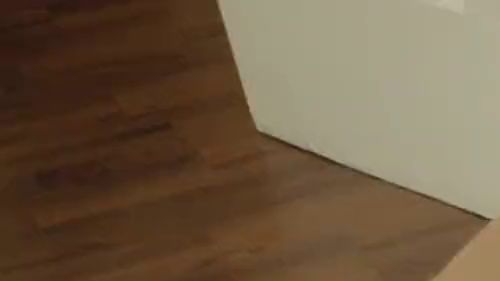 Download: Mountain1988 - Pornostar fickt Dacada in der Wohnung