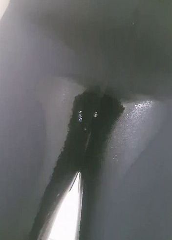 Download: NS-Queen83 - Ich Pisse in meine Leggings