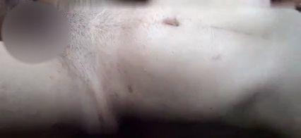 Download: NaughtySona - Mein Mann fickt hart mit meiner engen Muschi