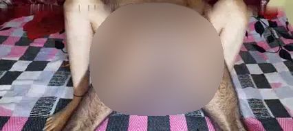 Download: NaughtySona - Sexy Ehemann und Ehefrau, heimlicher Sex, dann Cumout