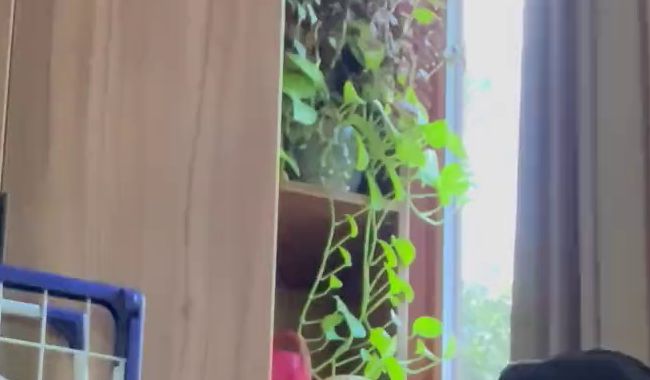 Download: NewSexyLesbi - meine nasses slip. und da hab ich grade geil masturbiert