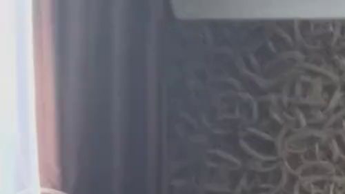 Download: NewSexyLesbi - Ich habe mein Höschen nass gemacht