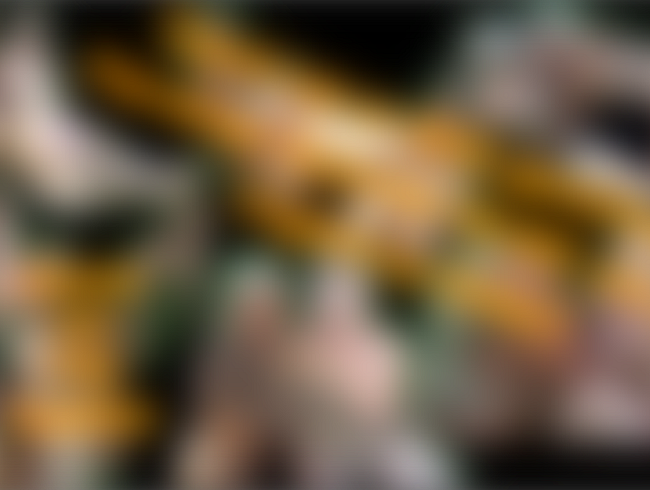 Download: Nicix-Fetish - Wir haben ihn erwischt! Spanner MUSS zeigen was er kann!