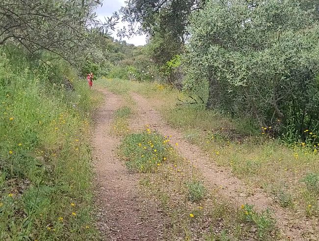 Download: Nikki-Holland - Outdoor-Gesichtsbehandlung in roten Dessous